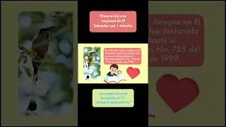 🔴 HISTORIA del 👉 AVE Nacional de EL SALVADOR 🇸🇻 en ⏰️ 1 MIN👈😱
