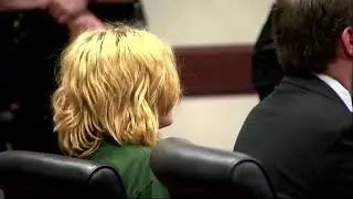 Georgia school shooting suspect appears in court | REUTERS