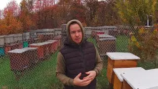Який стан пізніх відводків Чи потрібно об'єднувати