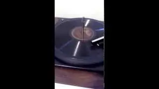 Chick-A-Dee FoxTrot