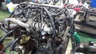 Проверка давления масла и компрессии в двигателе D4CB 9583502