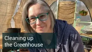 Cleaning up the Greenhouse
