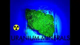 RADIOACTIVE URANIUM MINERALS