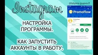 Promo Flow/ Промо Флоу - как запустить аккаунты в работу. Настройка программы.