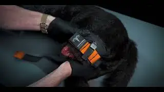 TacMed™ K9 Tourniquet Application - K9 Diesel