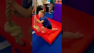 #Ninja