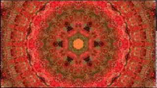 Hours Flower