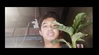 Halaman na bibili sa Mga Aeta? Sobrang Mura!