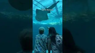 Visit Singapore with your grandparents