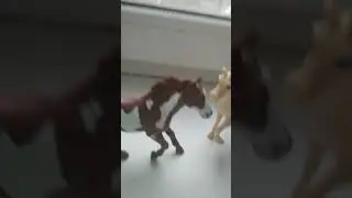 клип {а́ я́ о́пя́ть и́ду́ до́мо́й} Валя карнавал