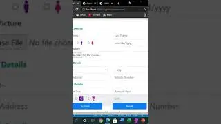 Create Supplier Interface business Web Application