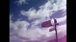 Windy Pier Earrape