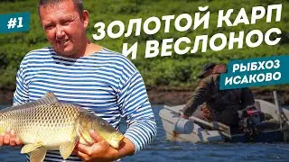 Fish farm Isakovo | Fish farming as a business | Bugulma | #1