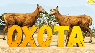 КАК ЗАРАБАТЫВАТЬ 50 000$ В ЧАС НА ОХОТЕ в GTA 5 RP