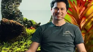 Amazing volcano aquascape!