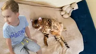 ПРИКОЛ С КОТОМ!  Смешные дети и коты!! Кот Лео играет с Глебом! Дети и животные!