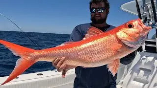 Louisiana Exotics in 1000 ft | 300 Miles in 1 Day | Jigging