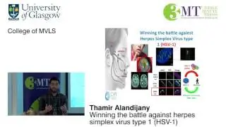 Winning the battle against herpes simplex virus type 1 (HSV-1)