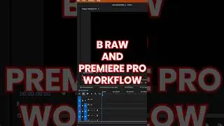 How to use Blackmagic Raw in Premiere Pro Workflow