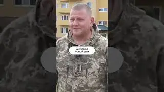 Как Зеленский борется с Залужным? 