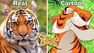 Jungle book Character In Real Life 🔥