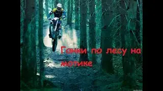 Гонки по лесу на Мотике.