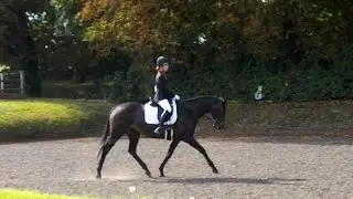 Sunshine Grand Tour Championships {3rd}