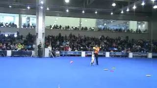 Елена и далматин Одри