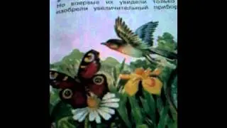Окружающий мир не такой уж и нудный!