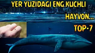 DUNYODAGI ENG KUCHLI 7 TA HAYVON | ДУНЁДАГИ ЭНГ КУЧЛИ 7 ТА ҲАЙВОН