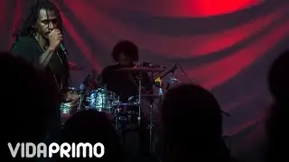 Toque Profundo - Perder La Razón [Official Audio]