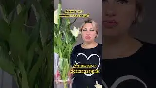 Нужны деньги пиши на ватцап 89503346664
