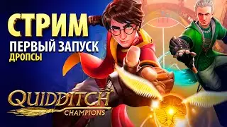 HARRY POTTER: Quidditch Champions | ОБЗОР ГЕЙМПЛЕЯ | СТРИМ