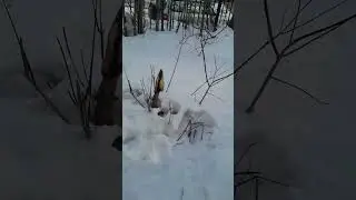16 марта 2024 г.