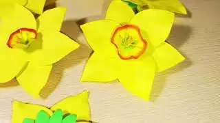 вот такие заколки Нарцисс изготовила из фоамирана☺️👍 #youtube #youtubeshorts