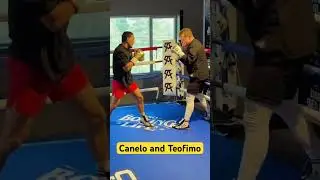 Teofimo and Canelo Training Partners - Teofimo vs Crawford? #boxeo #boxing