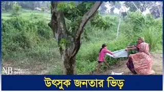 তপ্ত রোদেও গাছ থেকে ঝরছে পানি, এলাকায় চাঞ্চল্য | Fig Tree | Dhamrai