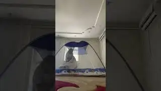 29 июля 2024 г.