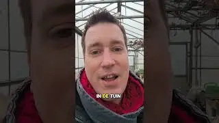Zo voorkom je een slakken plaag