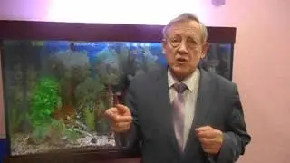 Как восстановить и укрепить свое здоровье
