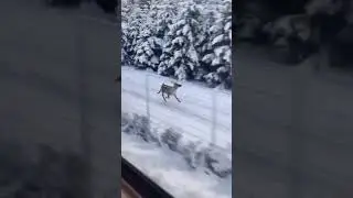 WHILE IN NORWAY