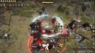 Black Desert Online. Ranger. Hexe sanctuary. 17 500.