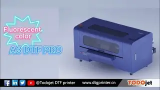 Todojet A3 DTF Pro with Hosonsoft board system.