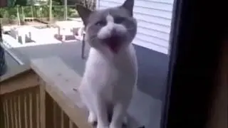 Vídeos De Caidas Graciosas Fail Compilation  January February 2015