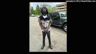 FREE CHICKEN P TYPE BEAT 2024 