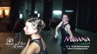 Elisa Zonis 2017 - presenta - MOANA