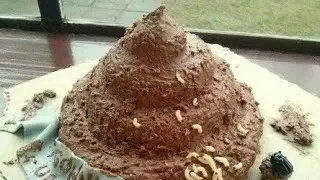 ГЛИСТЫ И ЧЕРВЯКИ СРАЖАЮТЬСЯ ЗА КАКАШКУ