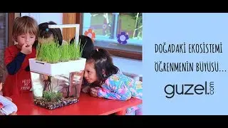 Aquagarden Akvaryum Hikayesi - Guzel com
