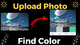 Upload A Photo & Find Which Color Used in Photo  |Color Theory Basics| Color Wheel