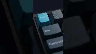 Could These Keycaps Be Endgame?? -  Kinetic Labs Whale PBT keycaps